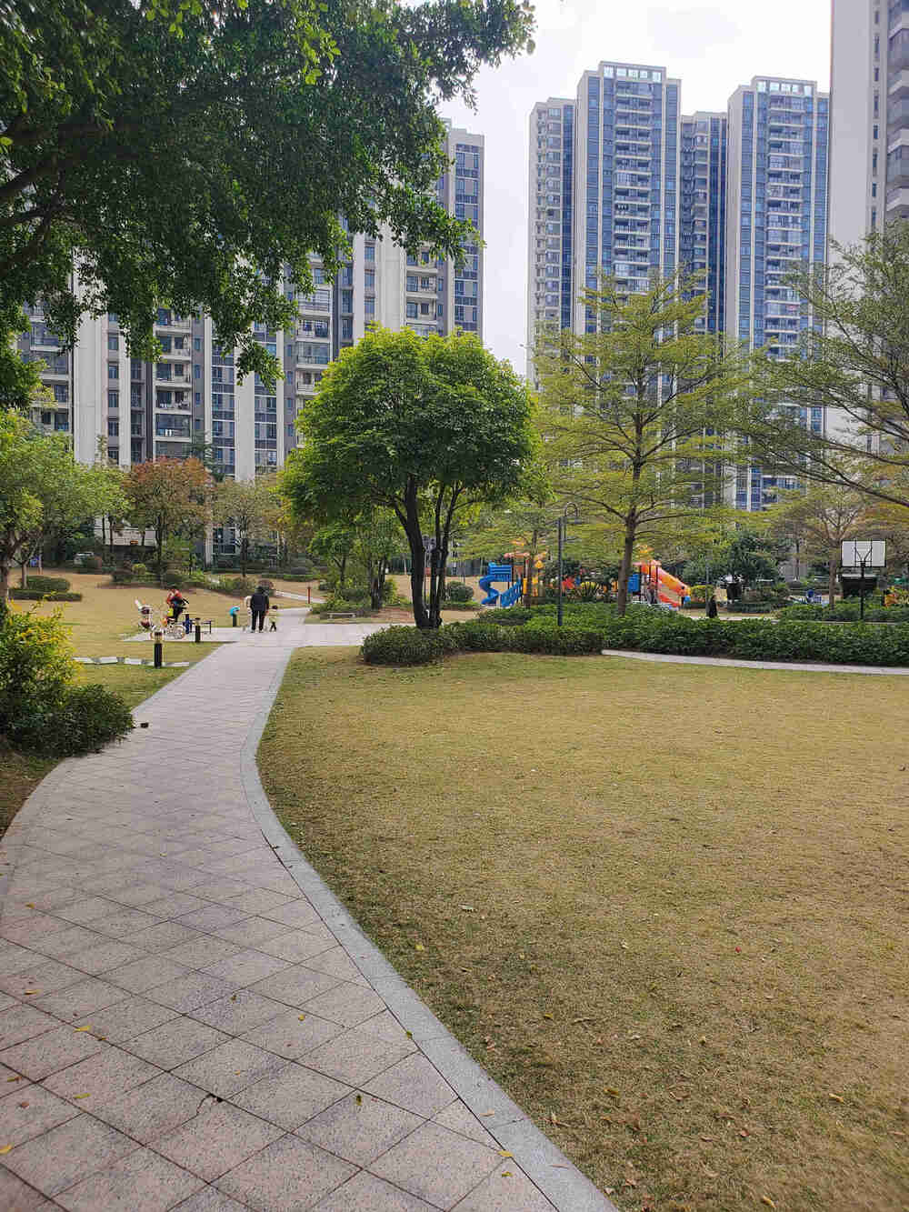 清远市清城区石角镇半岛壹号碧桂园10号楼14层01号