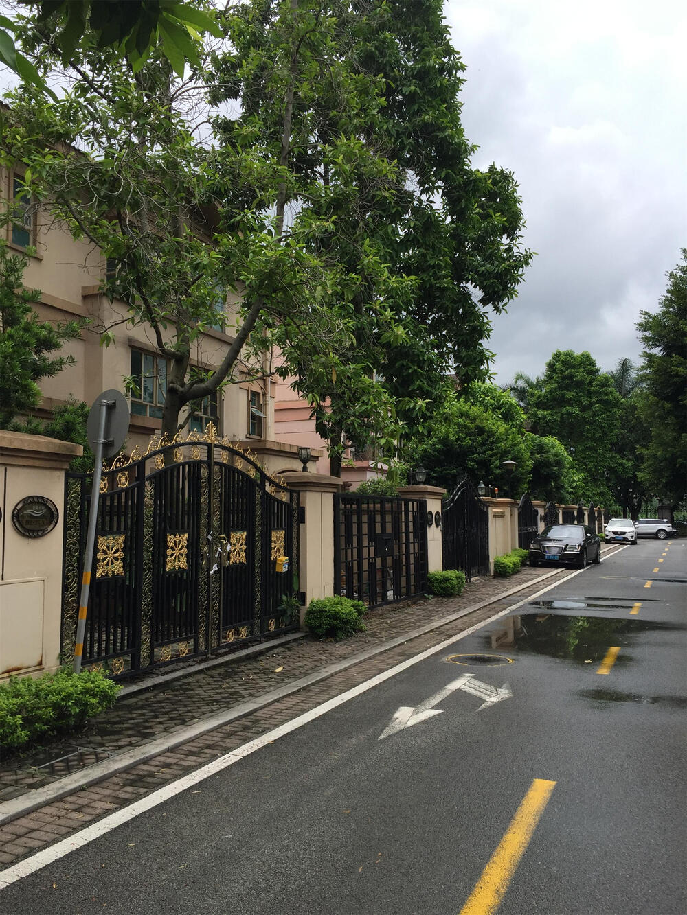 第一次拍卖中山市南区恒海路2号碧堤湾畔碧堤六街12幢a座别墅的房地产