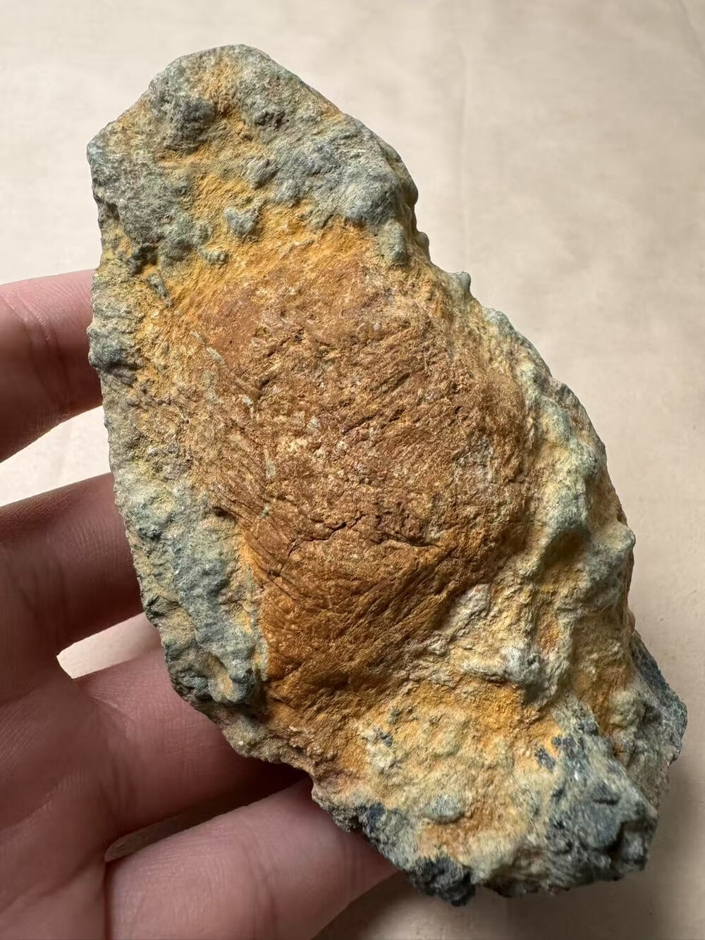 psg2366:wlsw9墨翠缅甸天然翡翠原石约279.02g