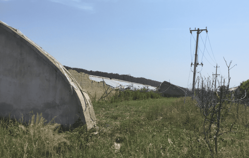 北京市昌平区兴寿镇兴寿村的土地承包经营权及相应土地上的地上物