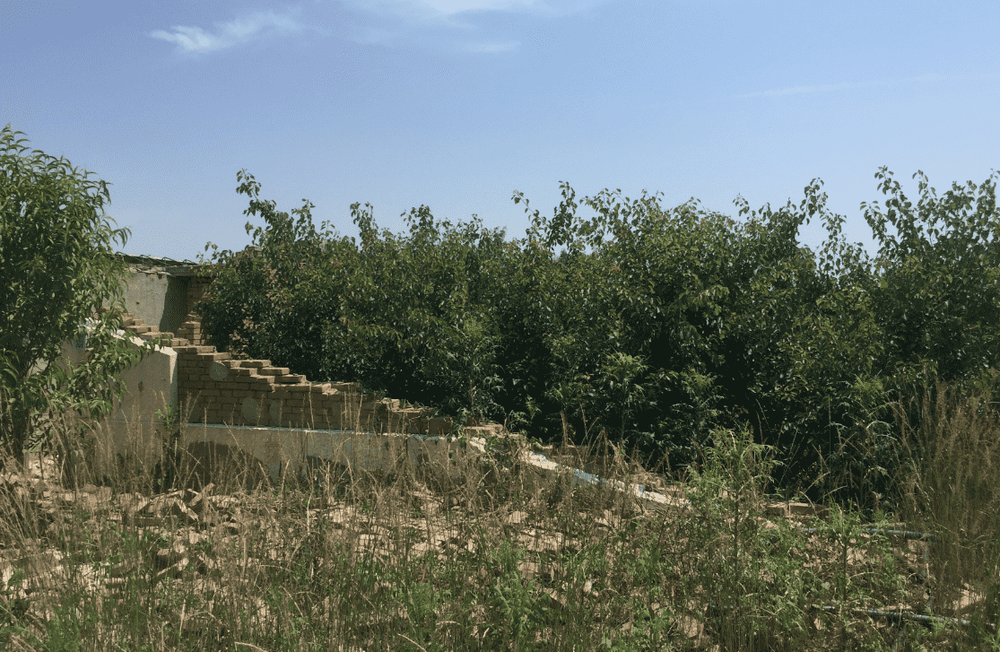 北京市昌平区兴寿镇兴寿村的土地承包经营权及相应土地上的地上物