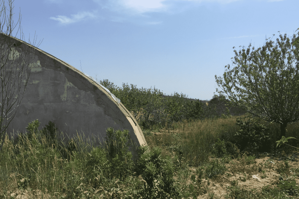 北京市昌平区兴寿镇兴寿村的土地承包经营权及相应土地上的地上物