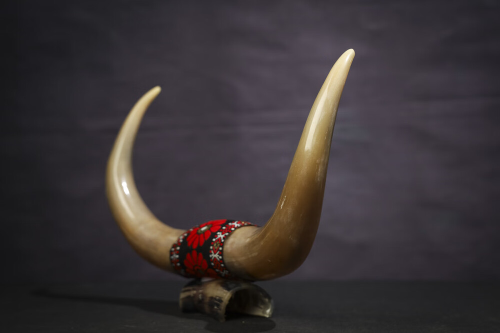 xa140:yc34珍稀牛角对角镇宅保平安摆件高约27厘米