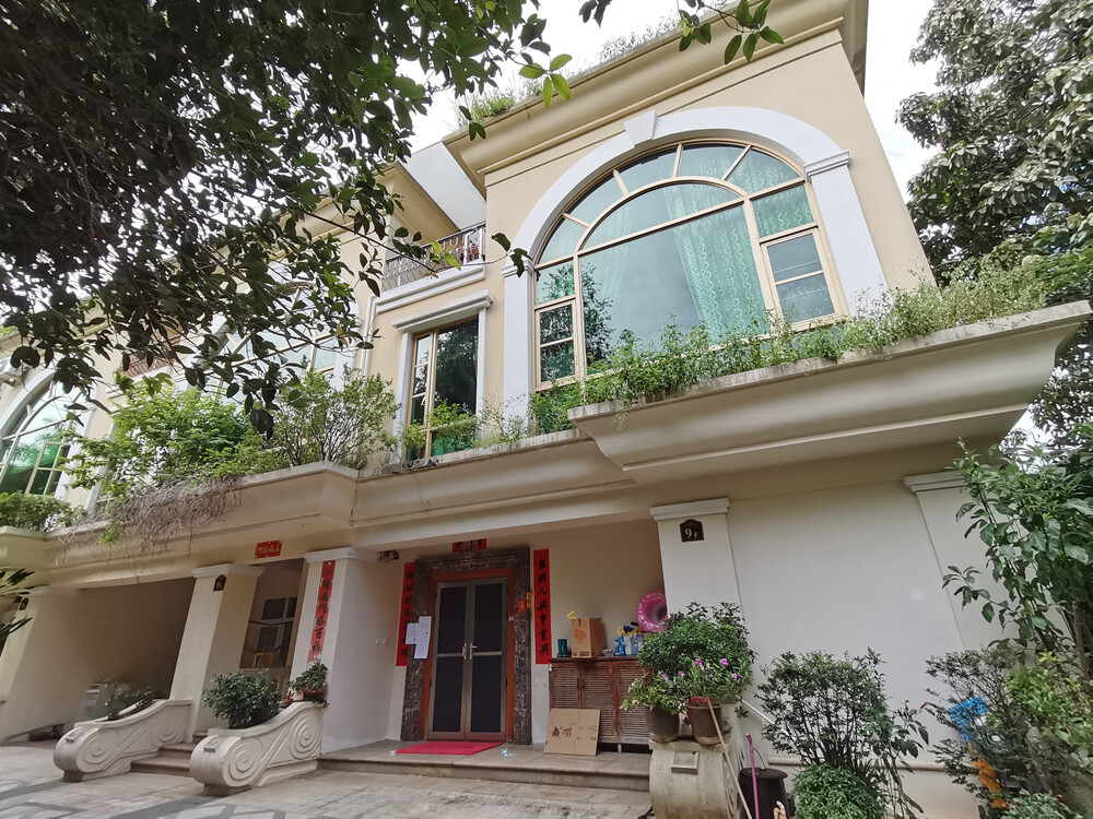 深圳市罗湖区银湖棕榈泉别墅9栋9f房产