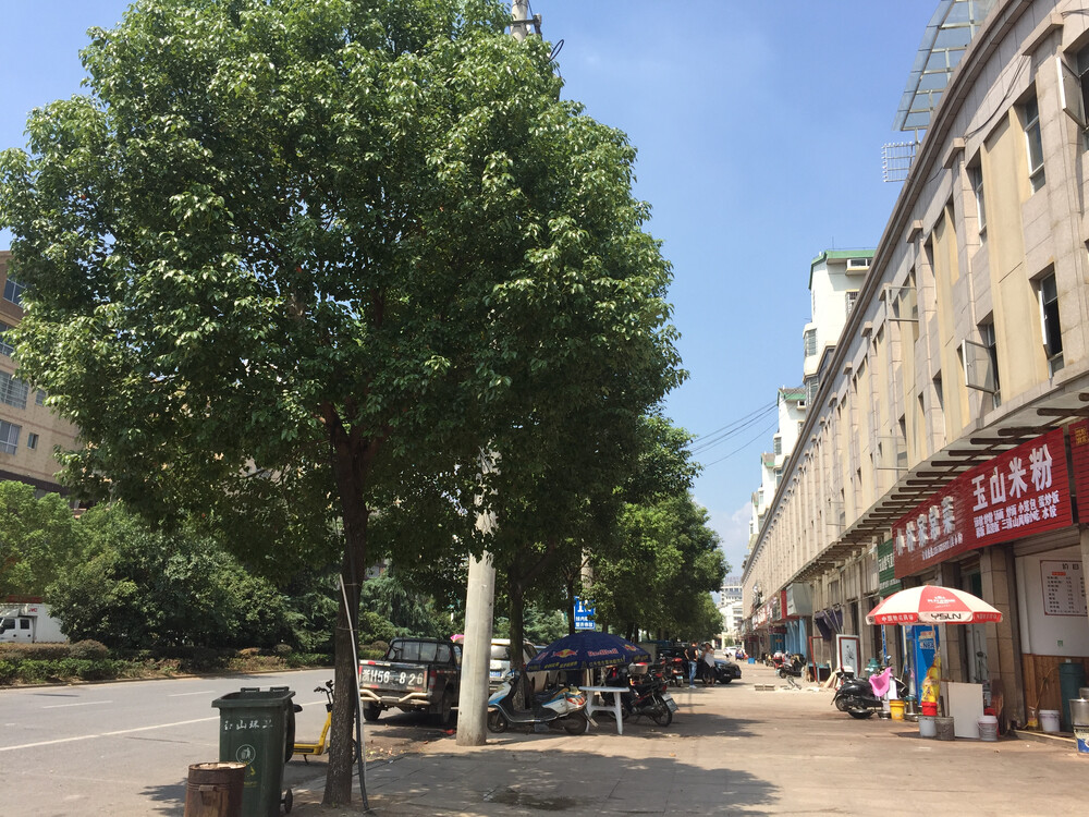 玉山县冰溪镇金山大道1号恒信广场1号楼1层2021号房屋