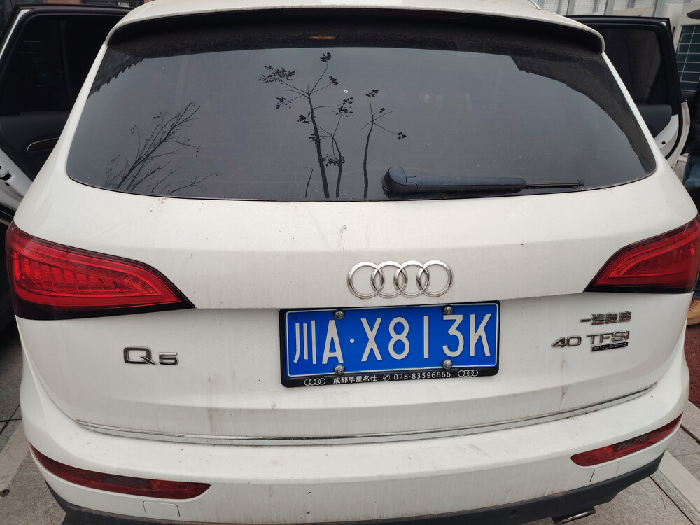 车牌号为川ax813k奥迪牌小型汽车