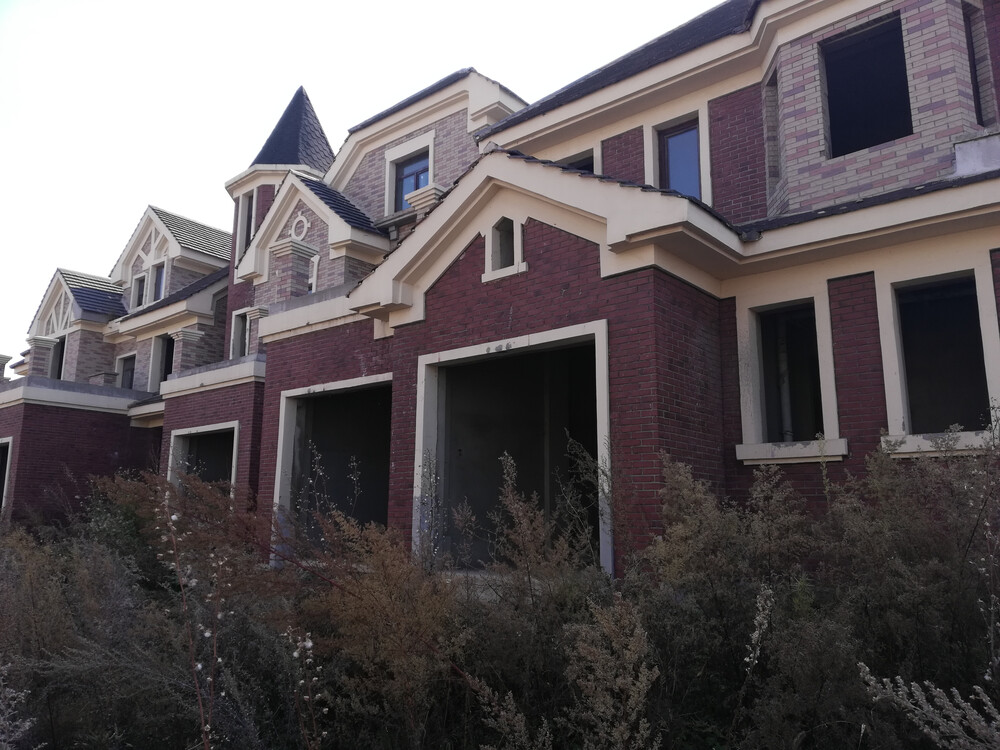 沈阳市浑南区东陵区中水1100号的40套别墅住宅房产