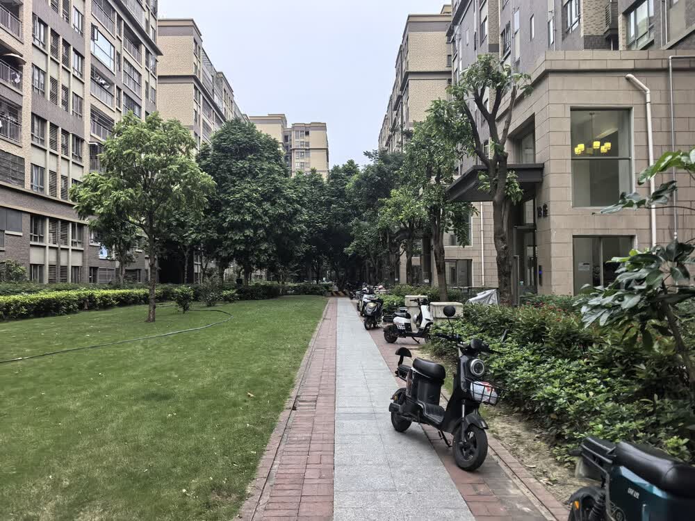 001ec00900e24ec6.jpg