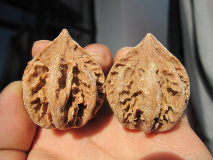 沐恩 文玩核桃 红皮八棱灯笼狮子头 送亲人 送朋友