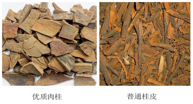 肉桂与桂皮的区别