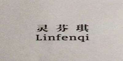 灵芬琪（Linfenqi）