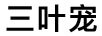 三叶宠