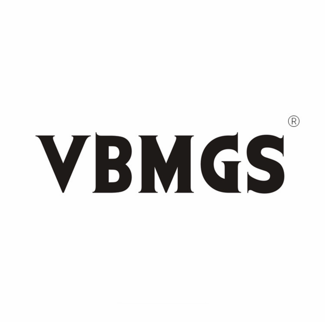 VBMGS