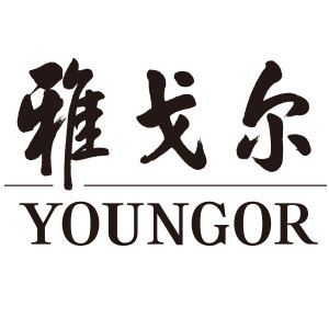 雅戈尔(youngor)京东自营旗舰店