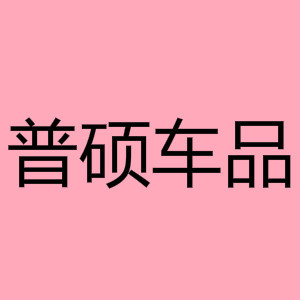 普硕车品专营店
