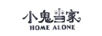 小鬼当家（HOME ALONE）