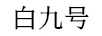 白九号