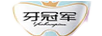 牙冠军