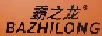 霸之龙（bazhilong）