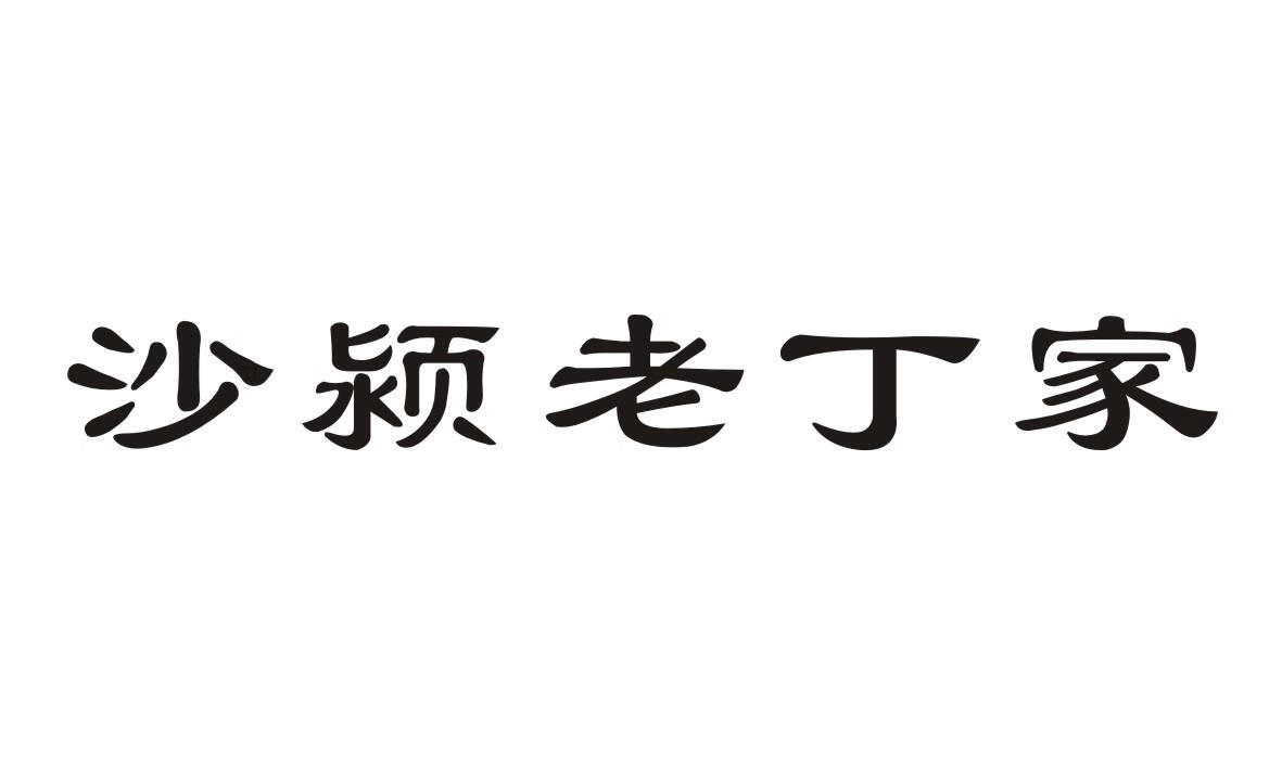 沙颍老丁家