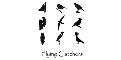 飞行捕手（Flying Catchers）