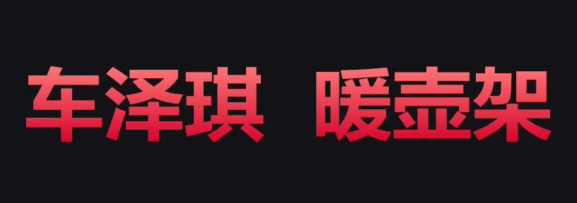 车泽琪