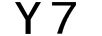 Y 7