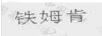 铁姆肯
