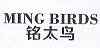 铭太鸟（MING BIRDS）