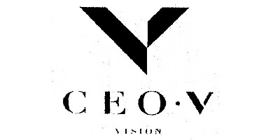 CEO·V VISION