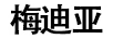 梅迪亚