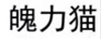 魄力猫