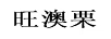 旺澳栗