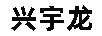 兴宇龙