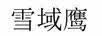 雪域鹰