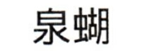泉蝴