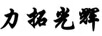 力拓光辉