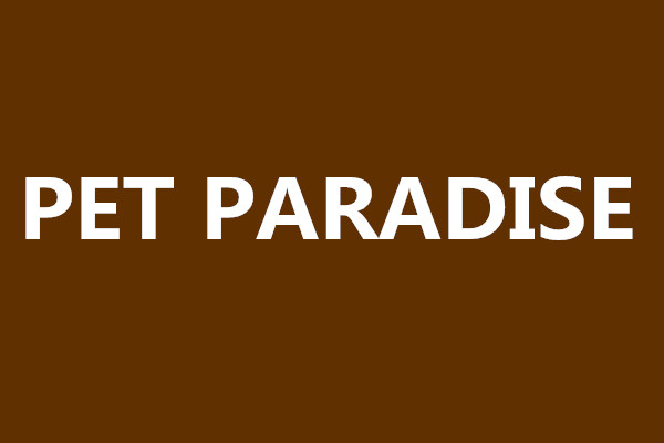 pet paradise