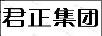 君正集团