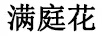 七弦茶痴