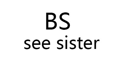 BS Bee Sister