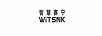 智慧赛宁（WiTSNK）