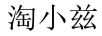 淘小兹