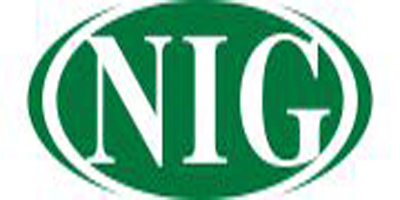 尼光（NIG）