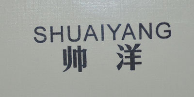 帅洋（SHUAIYANG）