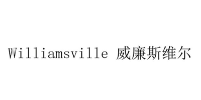 威廉斯威尔（Williamsville）