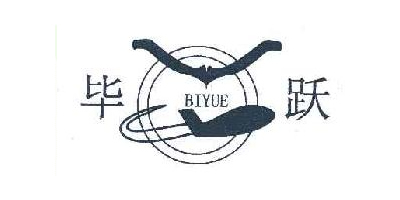 毕跃（BIYUE）