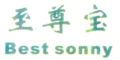 至尊宝（Best sonny）