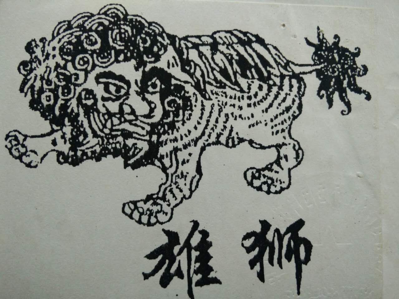 雄狮（xiongshi）