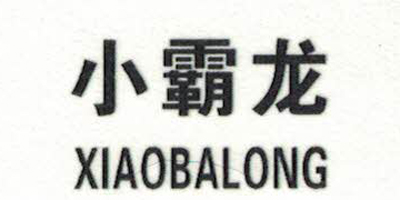 小霸龙（XIAOBALONG）